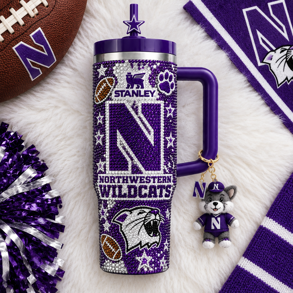Northwestern Wildcats 40oz Tumbler With Handle TTNL